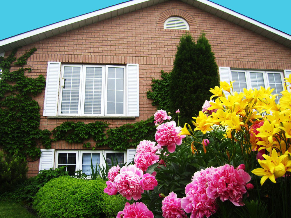 Opus 74 Bed & Breakfast Stratford Exterior foto